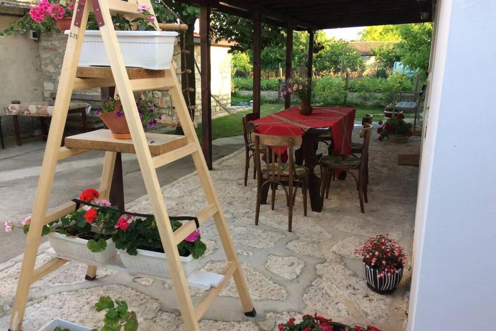 Guest House Kostadinovi Bŭlgarevo Εξωτερικό φωτογραφία