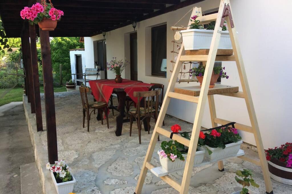 Guest House Kostadinovi Bŭlgarevo Εξωτερικό φωτογραφία